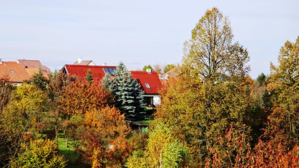 Villa Prazdninovy Dum - Pacl Červená Řečice Chambre photo