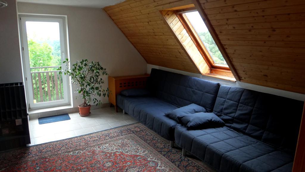 Villa Prazdninovy Dum - Pacl Červená Řečice Chambre photo